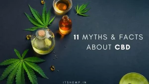11 Myths About CBD and the Facts Behind Them