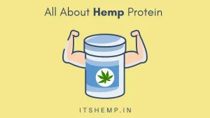 Buy Hemp Protein Powder in India on itsHemp