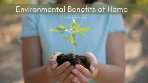 Environmental Benefits of Hemp on itsHemp