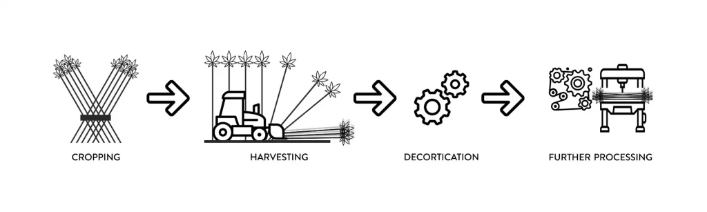 Hemp Cropping and Processing Cycle