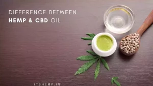 difference between hemp & CBD oil on itsHemp