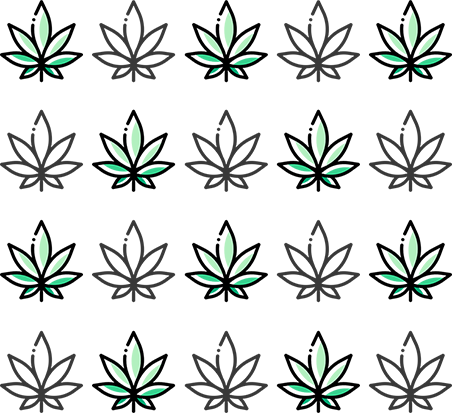 20 cannabis leaves itshemp