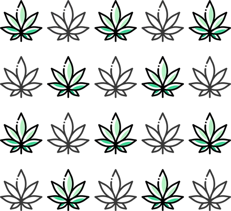 20 cannbis leaves itshemp 20 cannabis leaves itshemp