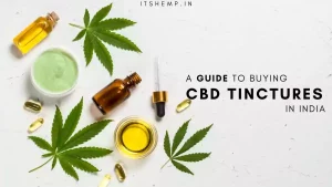 A Guide to CBD Tinctures | What are They and How to Use?
