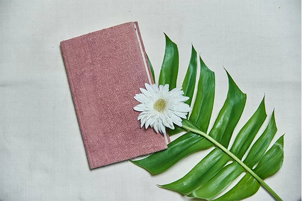 Pahartah Hemp Diary on itsHemp