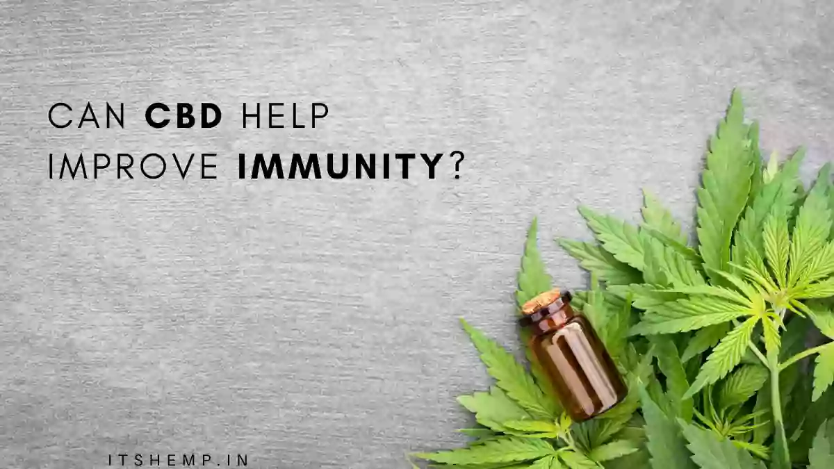 How to use CBD for Boosting Immunity? on itsHemp
