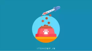 Buy CBD for Pets in India on ItsHemp