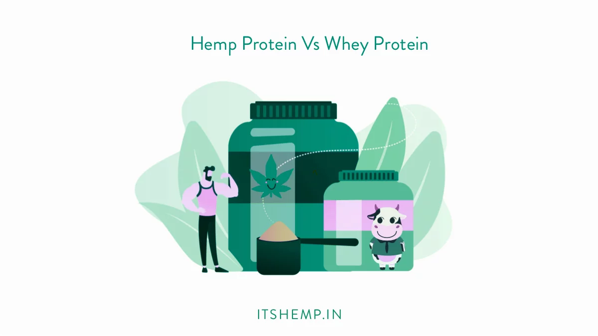 Hemp vs. Whey Protein | on ItsHemp