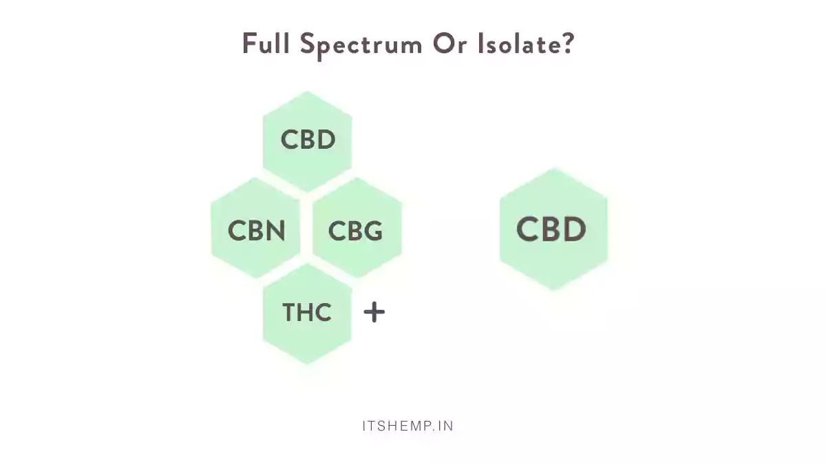 Full spectrum cbd india | on ItsHemp