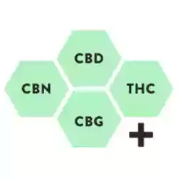 What Is Full-Spectrum THC & How Does It Work?