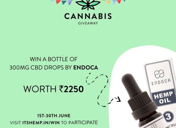 cannabis giveaway on itsHemp