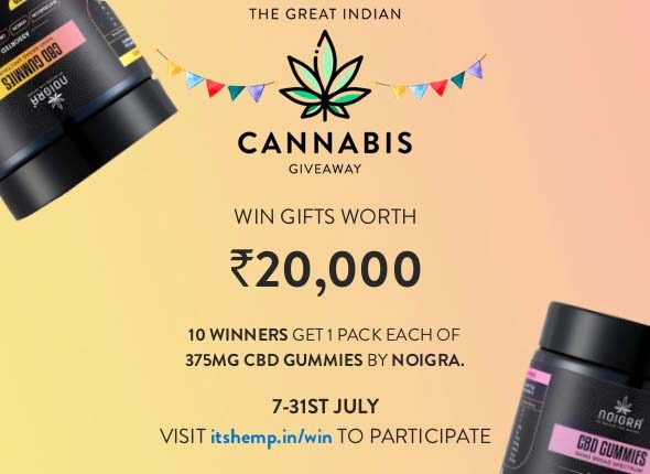 Noigra Gummies Giveaway on ItsHemp
