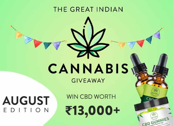 CBD Giveaway in India | on ItsHemp