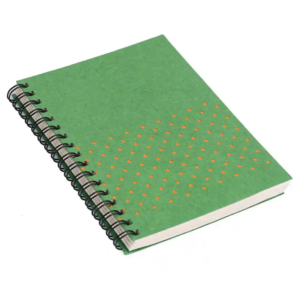 OG081027_1 OG A5 WN GoldFoilDebossed Diary, LightGreen on itsHemp