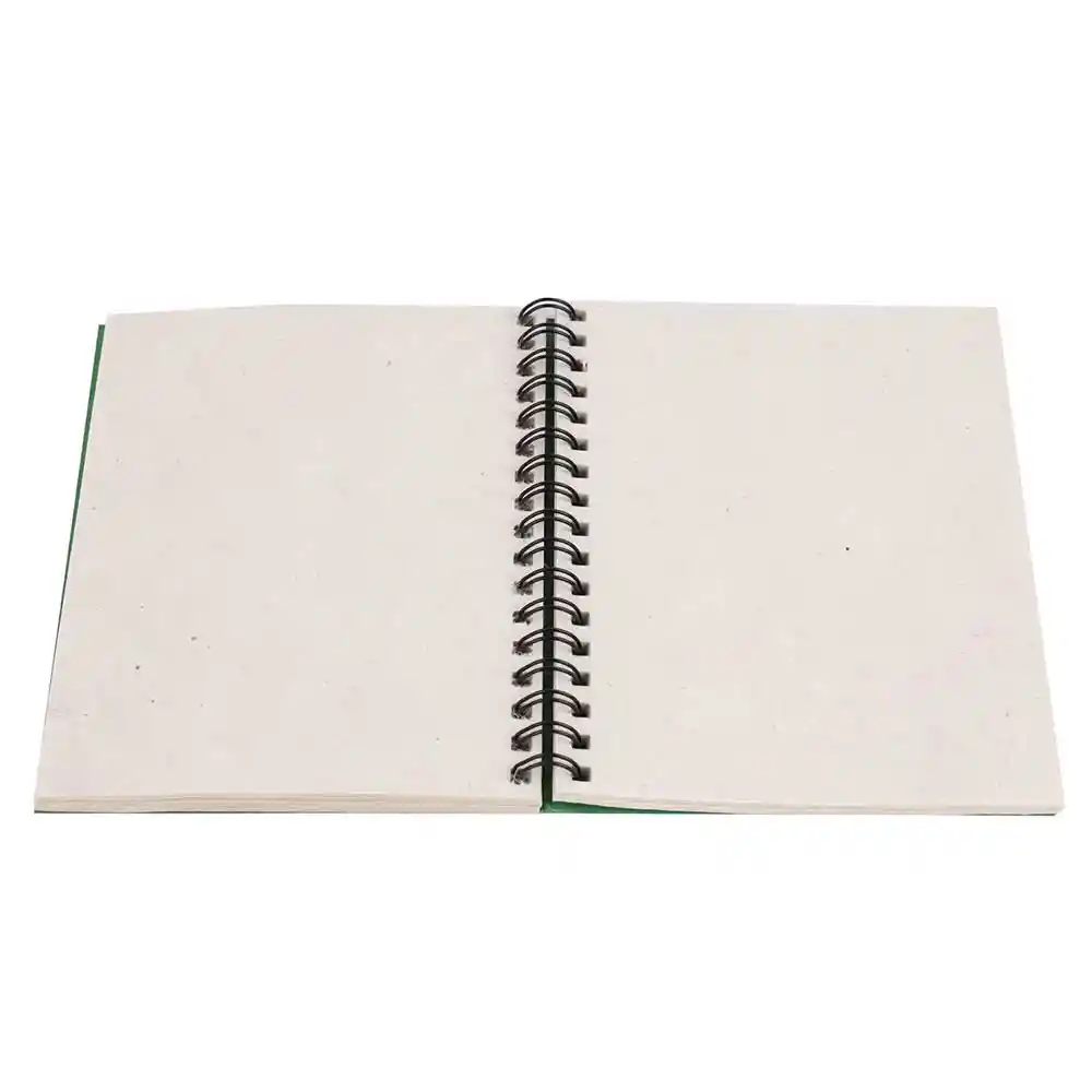 OG A5 WN GoldFoilDebossed Diary, LightGreen on itsHemp