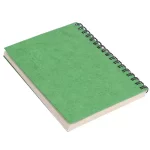 OG A5 WN GoldFoilDebossed Diary, LightGreen on itsHemp