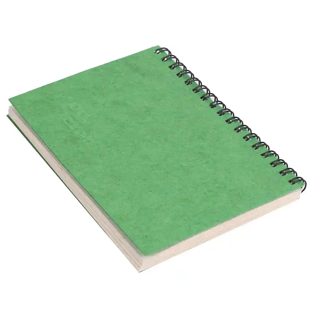 OG A5 WN GoldFoilDebossed Diary, LightGreen on itsHemp