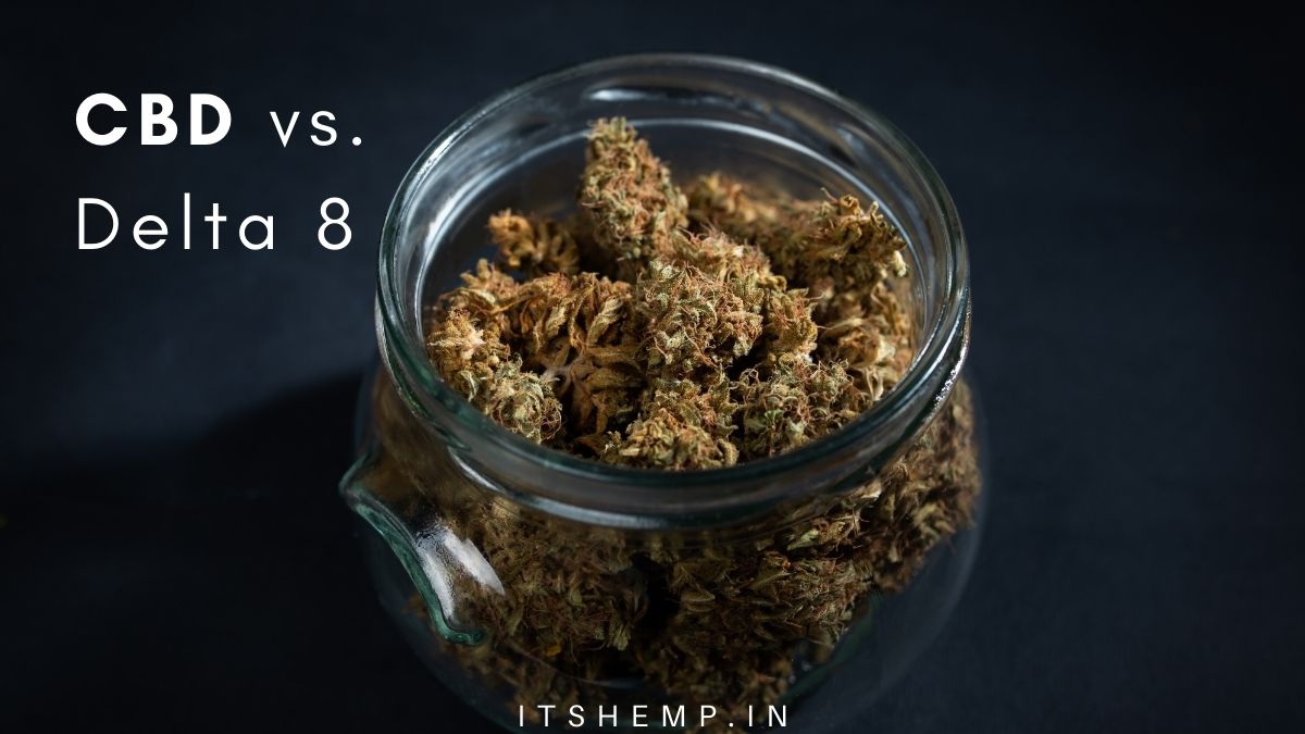 CBD vs Delta-8 Flower | What's the Difference on itsHemp