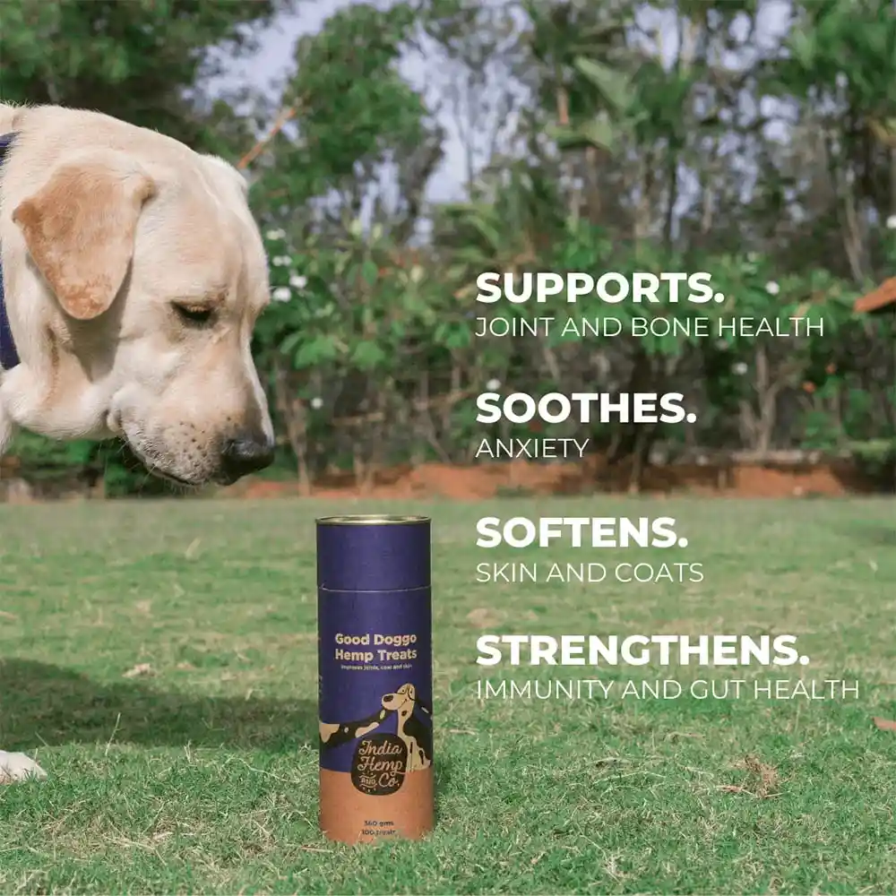 India Hemp & Co. Good Doggo Hemp Treats, 360 g, 100 Treats on itsHemp
