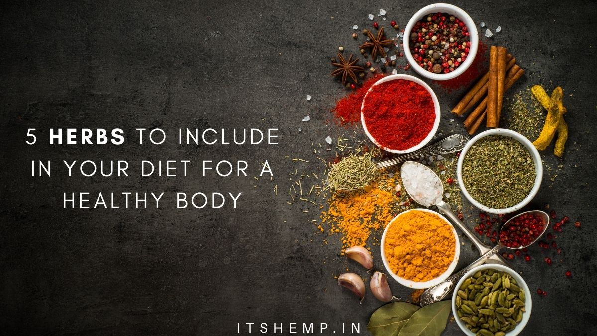 5 Herbs to Eat Regularly for a Healthy Body on itsHemp