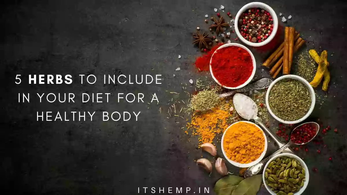 5 Herbs to Eat Regularly for a Healthy Body on itsHemp