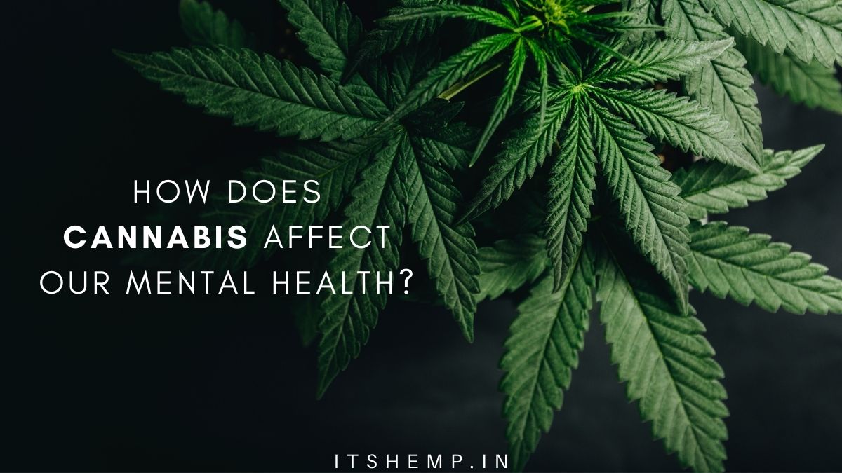 How Does Cannabis Affect Your Mental Health on itsHemp