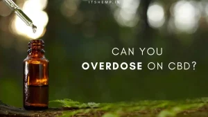 Can You Overdose on CBD on itsHemp
