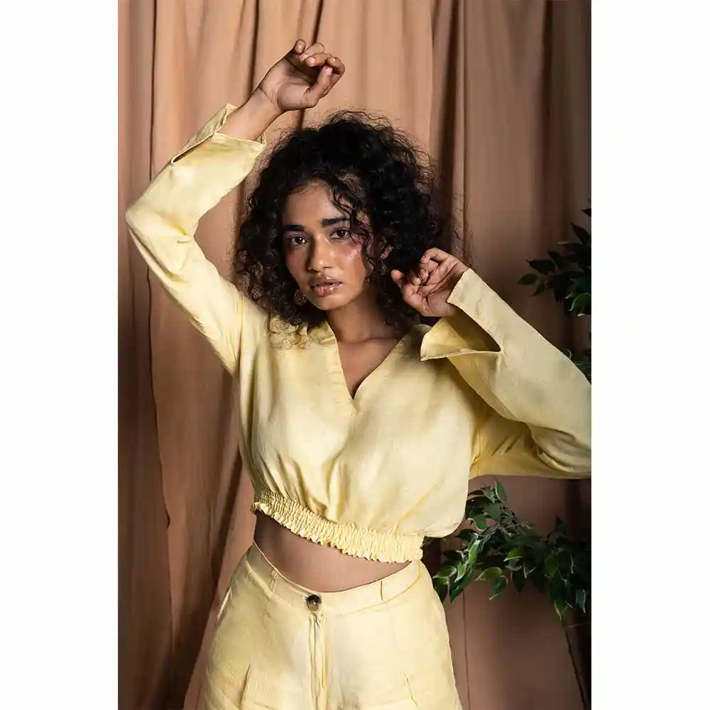 TS101006_1 TISH Long Sleeve Crop Top on itsHemp
