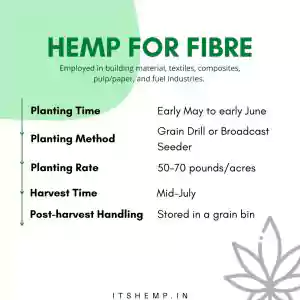 What is Hemp on itsHemp