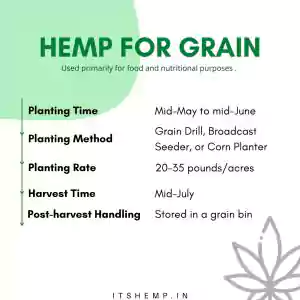 What is Hemp on itsHemp