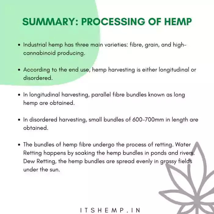 Blog What is Hemp Oil Benefits and How to Use 1 700x700 1