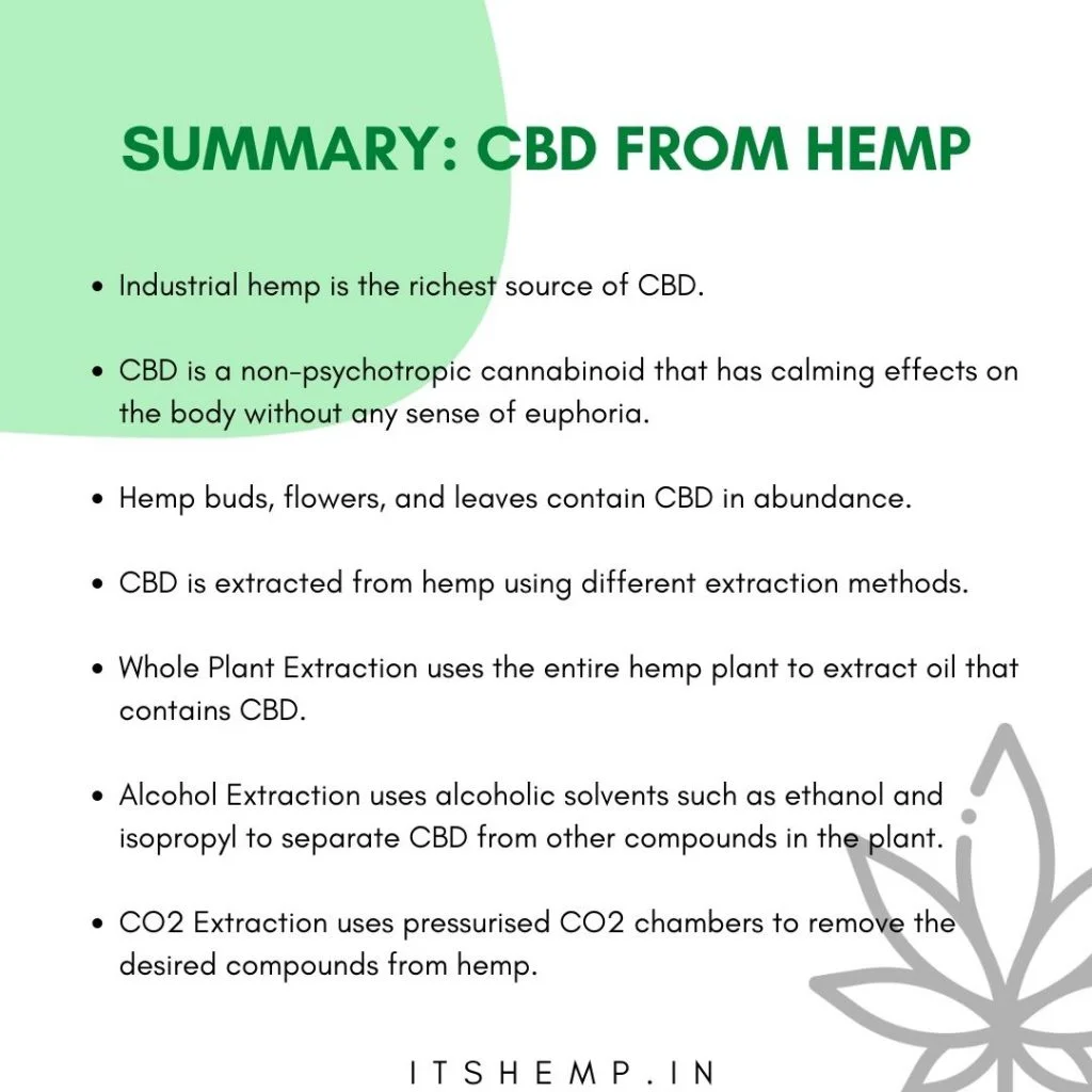 What is Hemp? | The Ultimate Guide to Hemp in India Blog What is Hemp Oil Benefits and How to Use 6