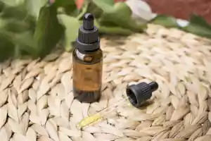 Need To Recover Quicker? Try CBD Oil