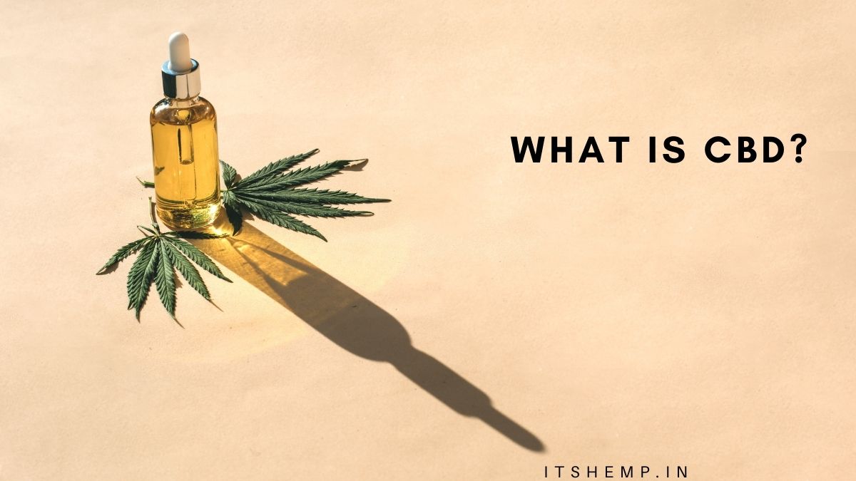 What is CBD? How does CBD work? on itsHemp