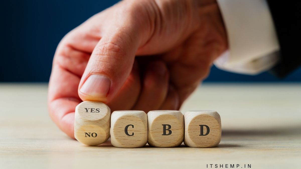 20 Questions to Ask Before You Buy CBD in India on itsHemp