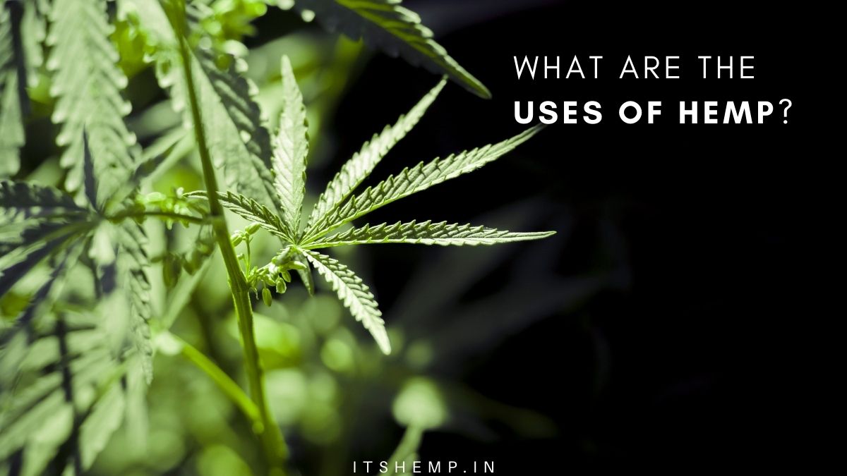 WHAT ARE THE USES OF HEMP