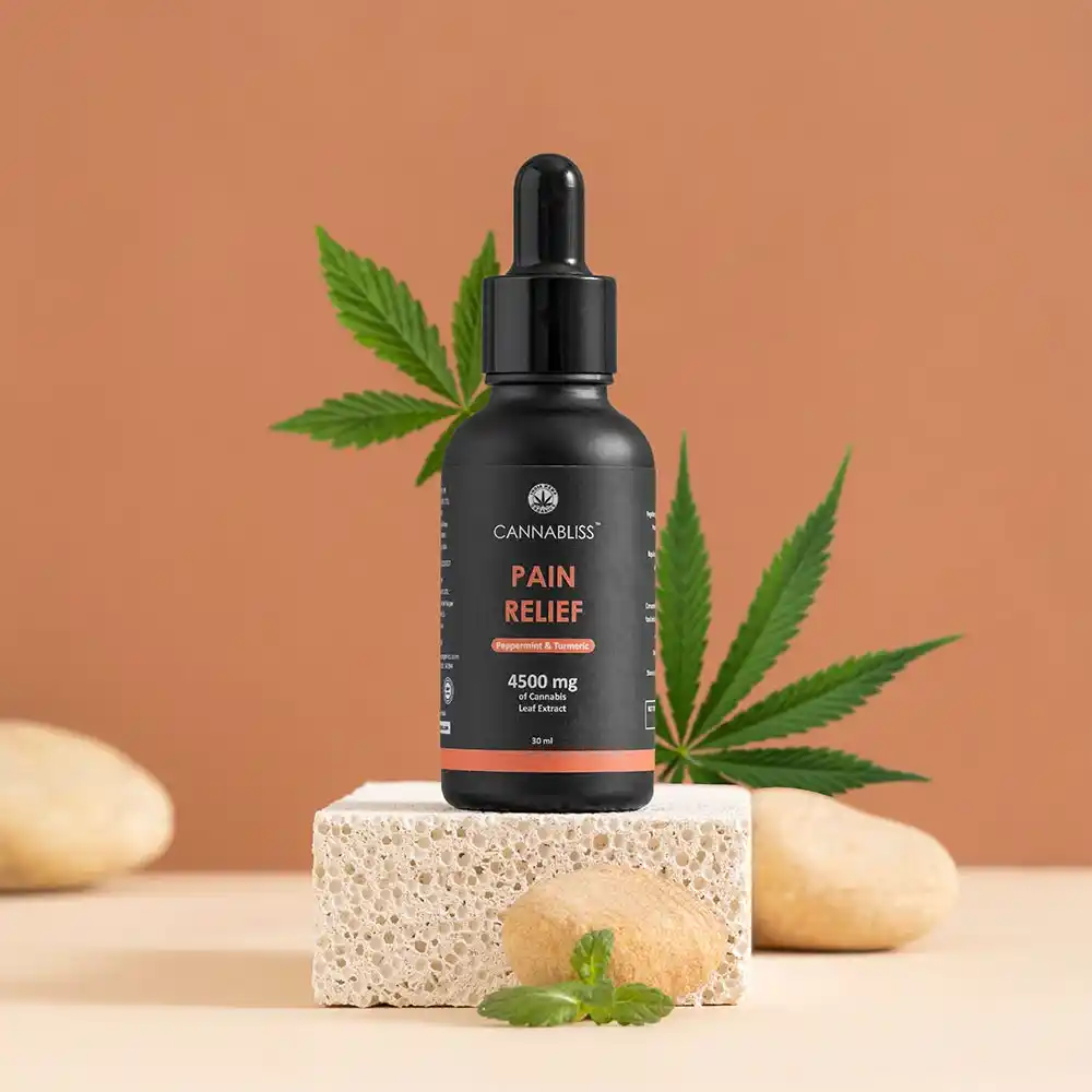 IH020028_3 India Hemp Organics Cannabliss Pain Relief, 4500mg, Peppermint & Turmeric, 30mlon itsHemp