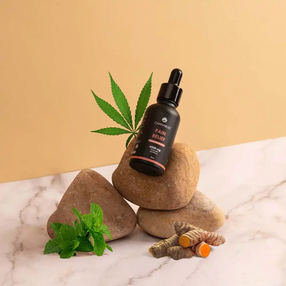 IH020028_4 India Hemp Organics Cannabliss Pain Relief, 4500mg, Peppermint & Turmeric, 30mlon itsHemp