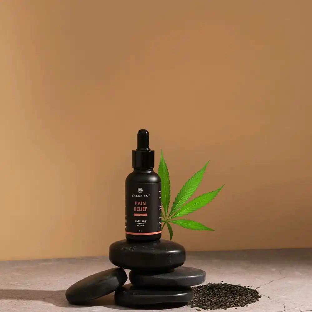 India Hemp Organics Cannbliss Pain Relief, 4500mg, Natural, 30mlon itsHemp