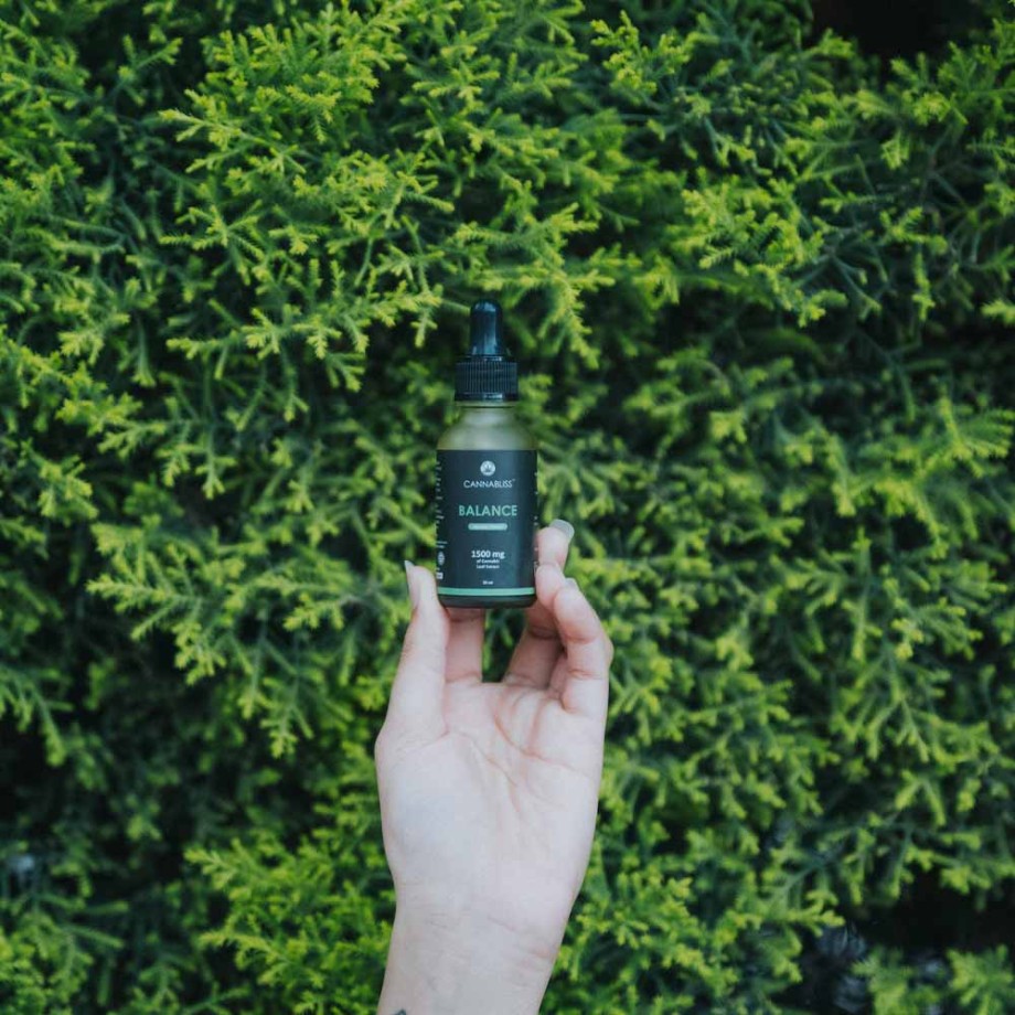 Balance CBD Oil Cannabliss 1500mg By IHO