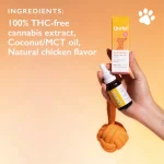 Qurist Dog CBD Oil for Large Pets, 30ml - Image 3
