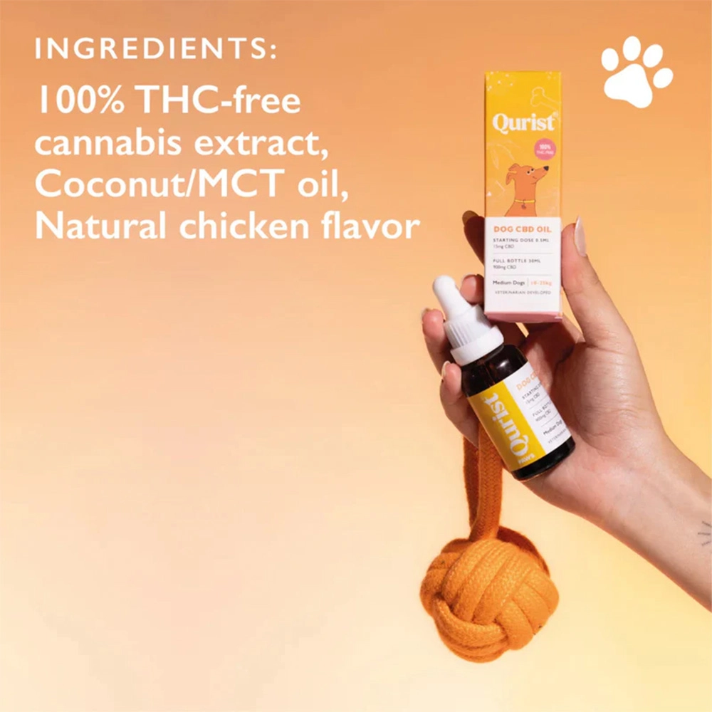 Qurist Dog CBD Oil for Large Pets, 30ml - Image 3
