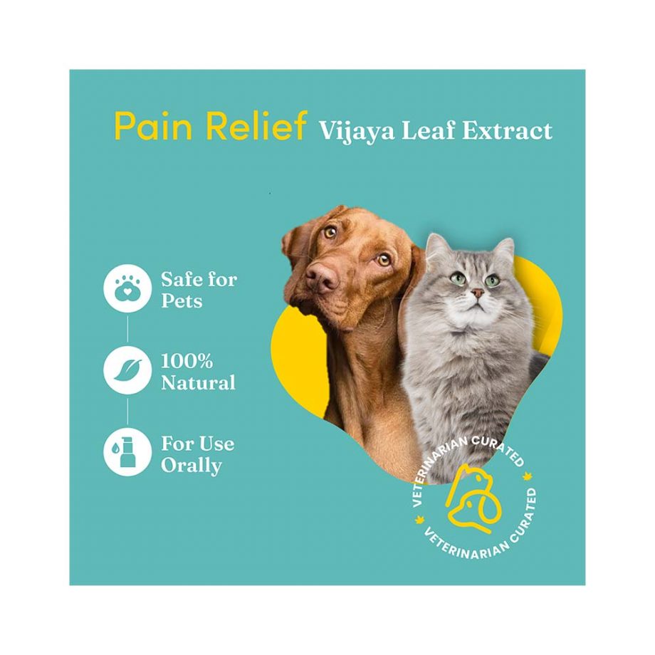 pain relief for pets India Hemp Organics Pain Relief Oil, 30ml on itsHemp