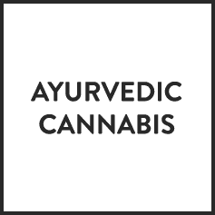 Ayurvedic Cannabis on ItsHemp
