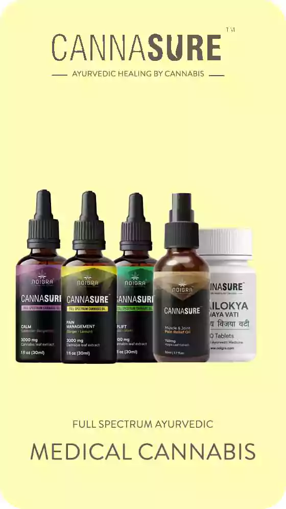 200+ Top CBD Oil India starting at INR 150, Licensed Medical Cannabis and Vijaya Products | Buy Effective CBD Oil, CBD Gummies, CBD Balms in India on ItsHemp Cannasure full spectrum ayurvedic cannabis on itsHemp