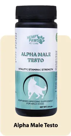 Alpha Male Testo