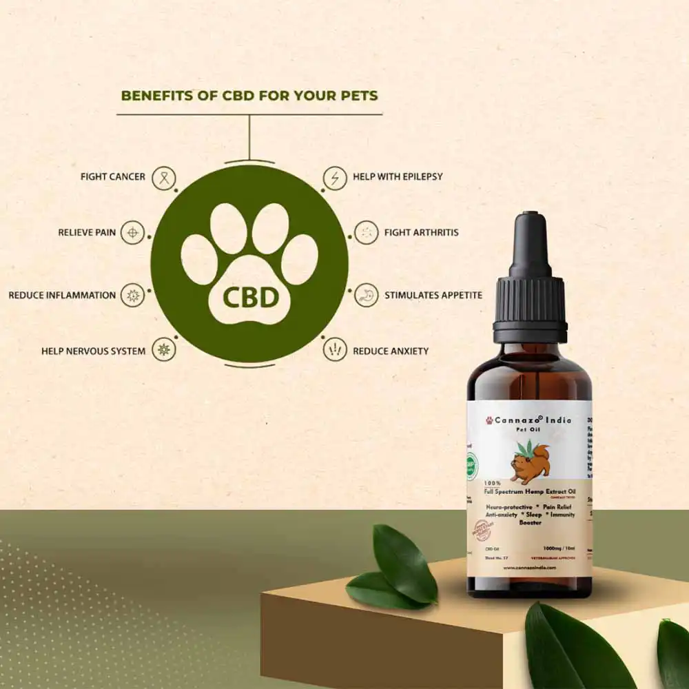 CannazoIndia Full Spectrum CBD extract pet oil, 1000mg, 10ml - Image 3