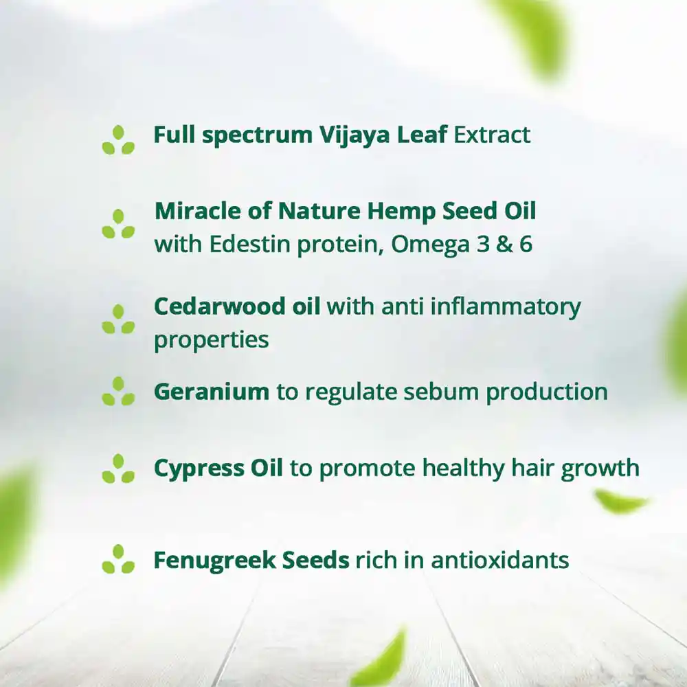 Hampa Regrowth Serum, 100 ml on itshemp