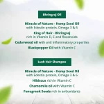 Hampa Bhringraj Oil + Shampoo Combo, 300 ml on itshemp