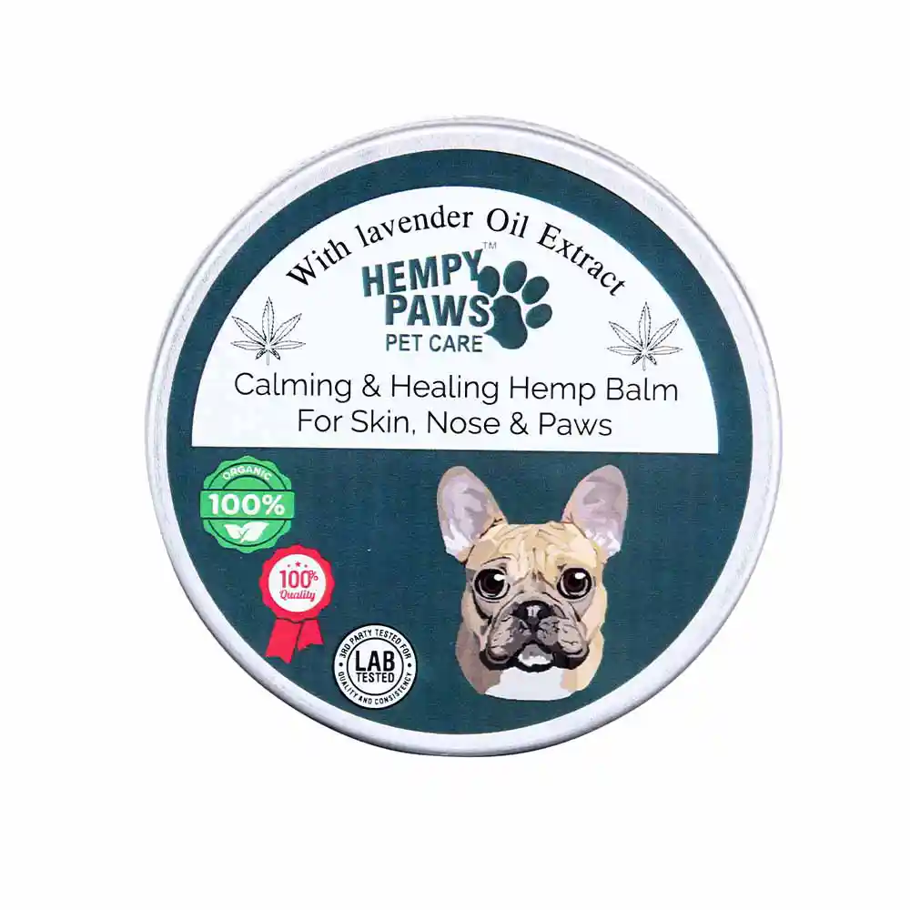 HP125003_1 HempyPaws Pet Care Calming & Healing Hemp Balm with Lavender Oil Extract, 100 Grams on itshemp
